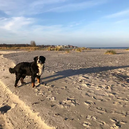 „oberdeck” Hohwacht/ostsee